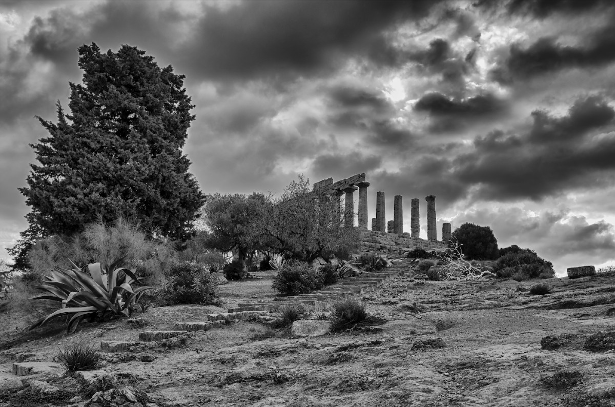 Parco Valle dei Templi - foto E. Simonaro