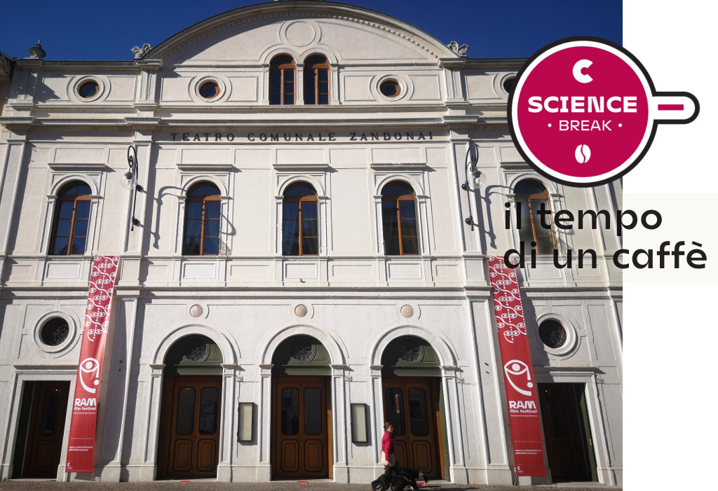 I campioni della capriata del tetto del Teatro Zandonai esposti al Museo di Scienze e Archeologia di Rovereto