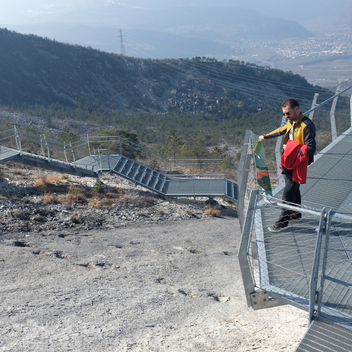 Sulle tracce dei dinosauri_NEW