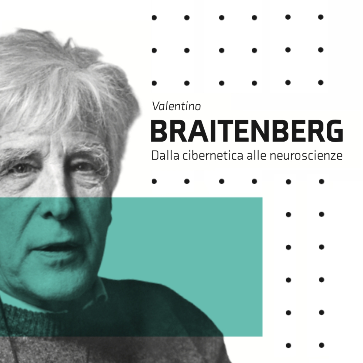 Braitenberg_1200x1200