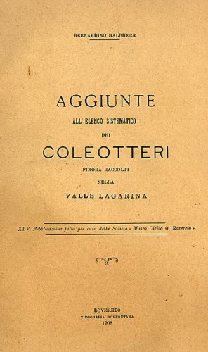 Coleotteri4